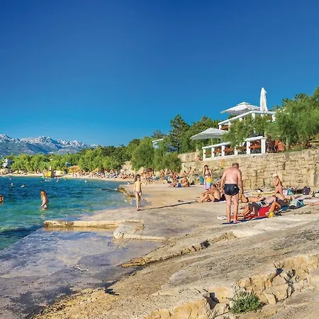 Nice In Novigrad With Kitchen Apartment